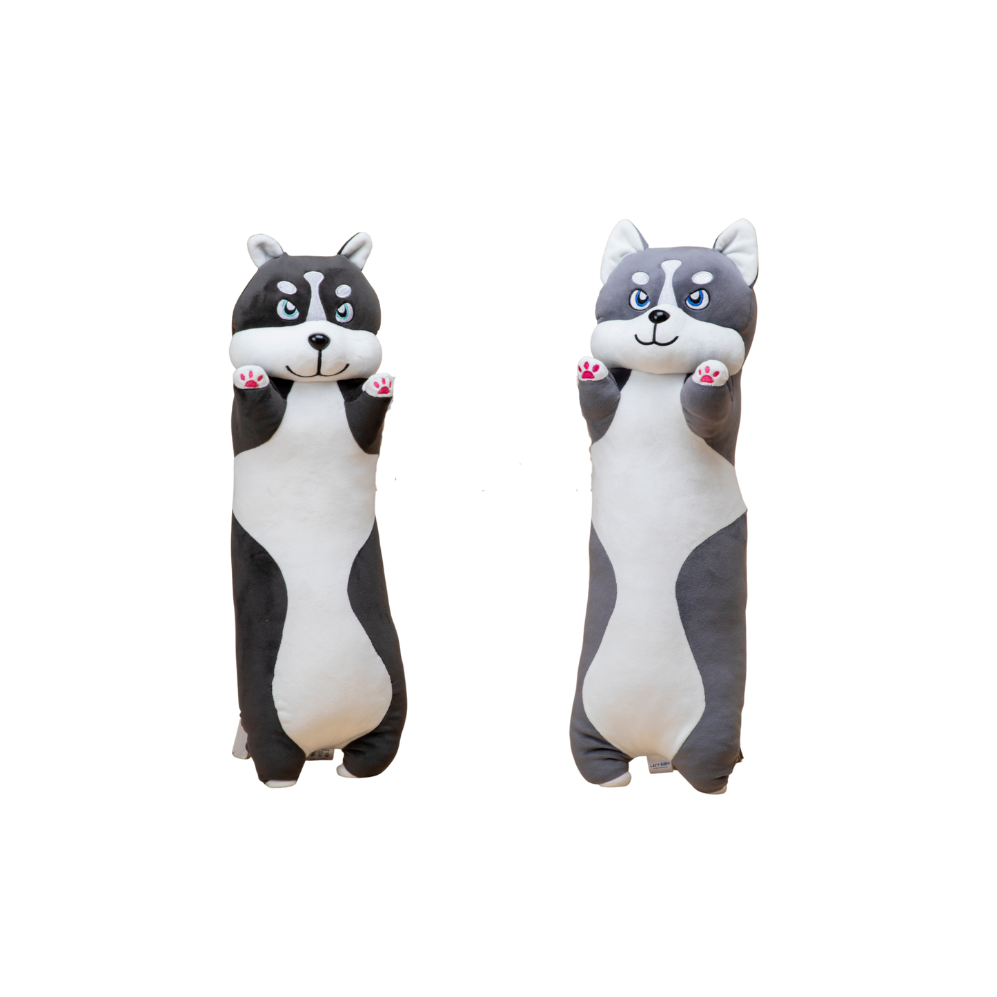 Nino Cat