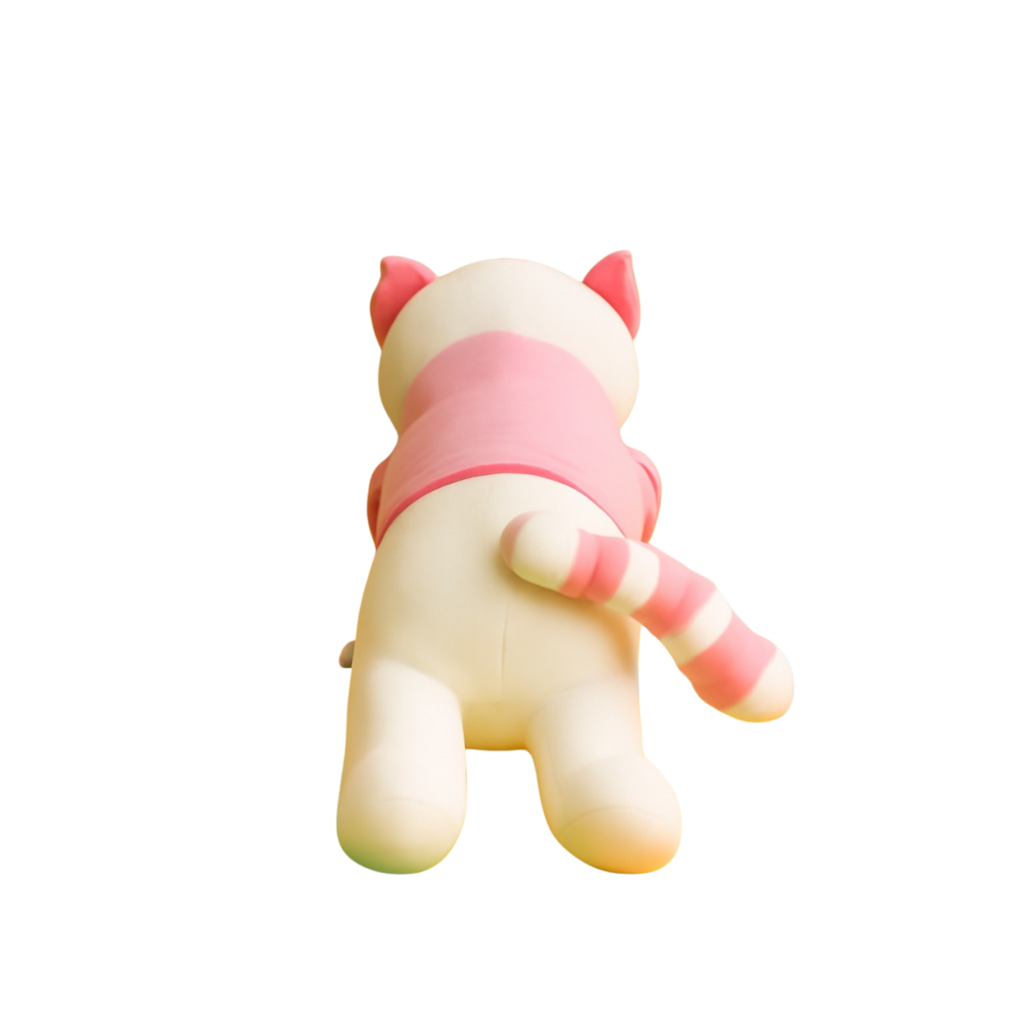 Lilly Cat