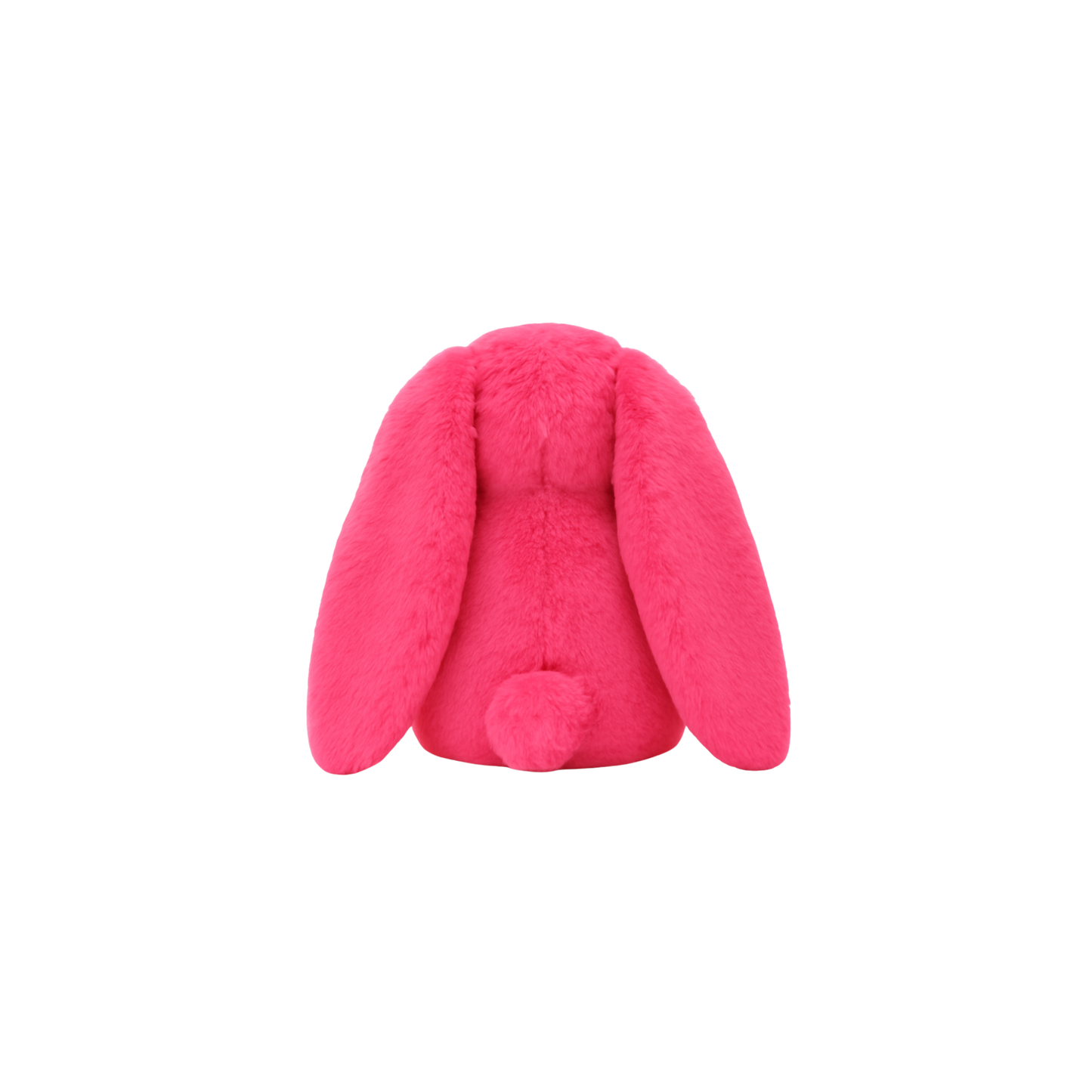 Alice, The Curious Bunny