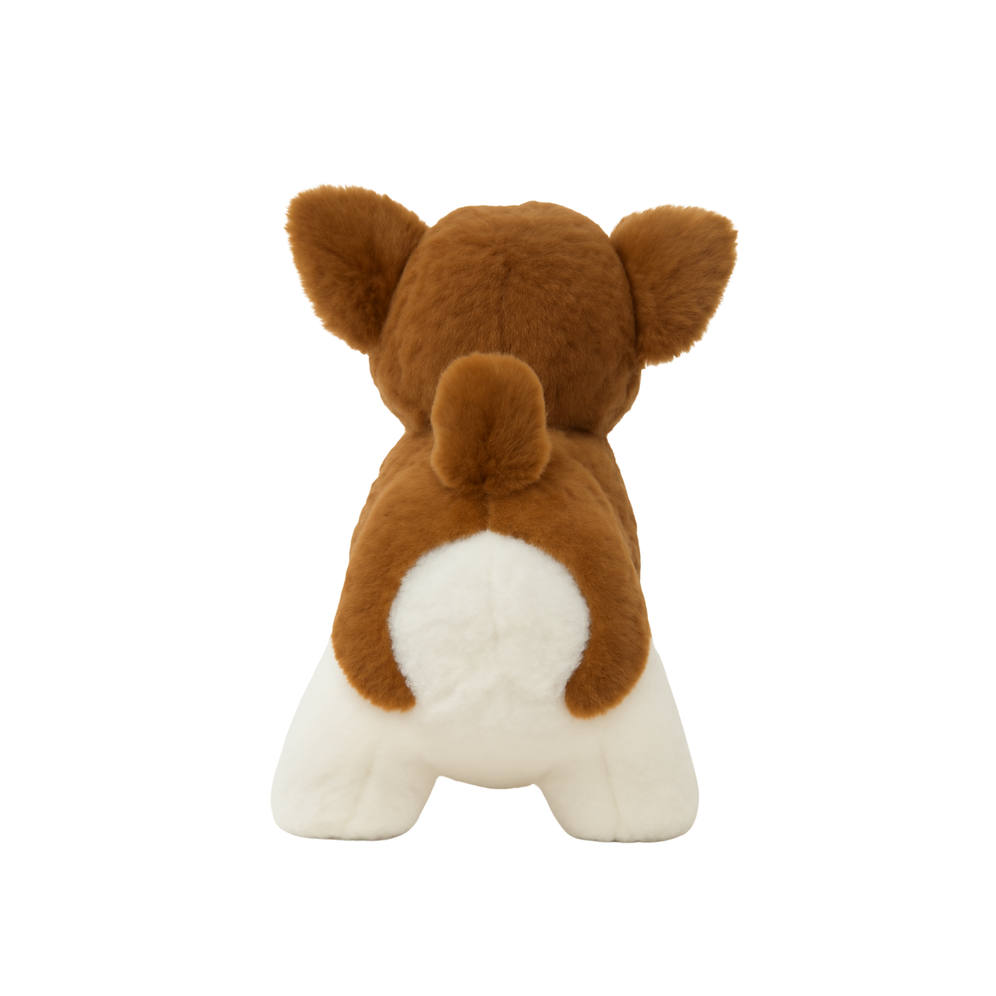 Pawzy - The Puppy