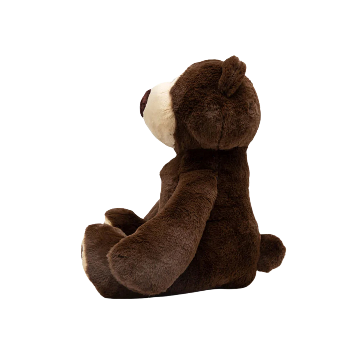 Walter Bear