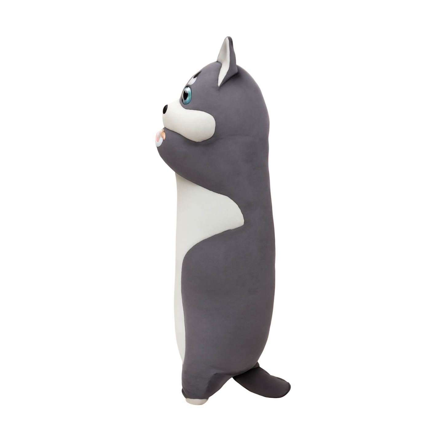 Nino Cat