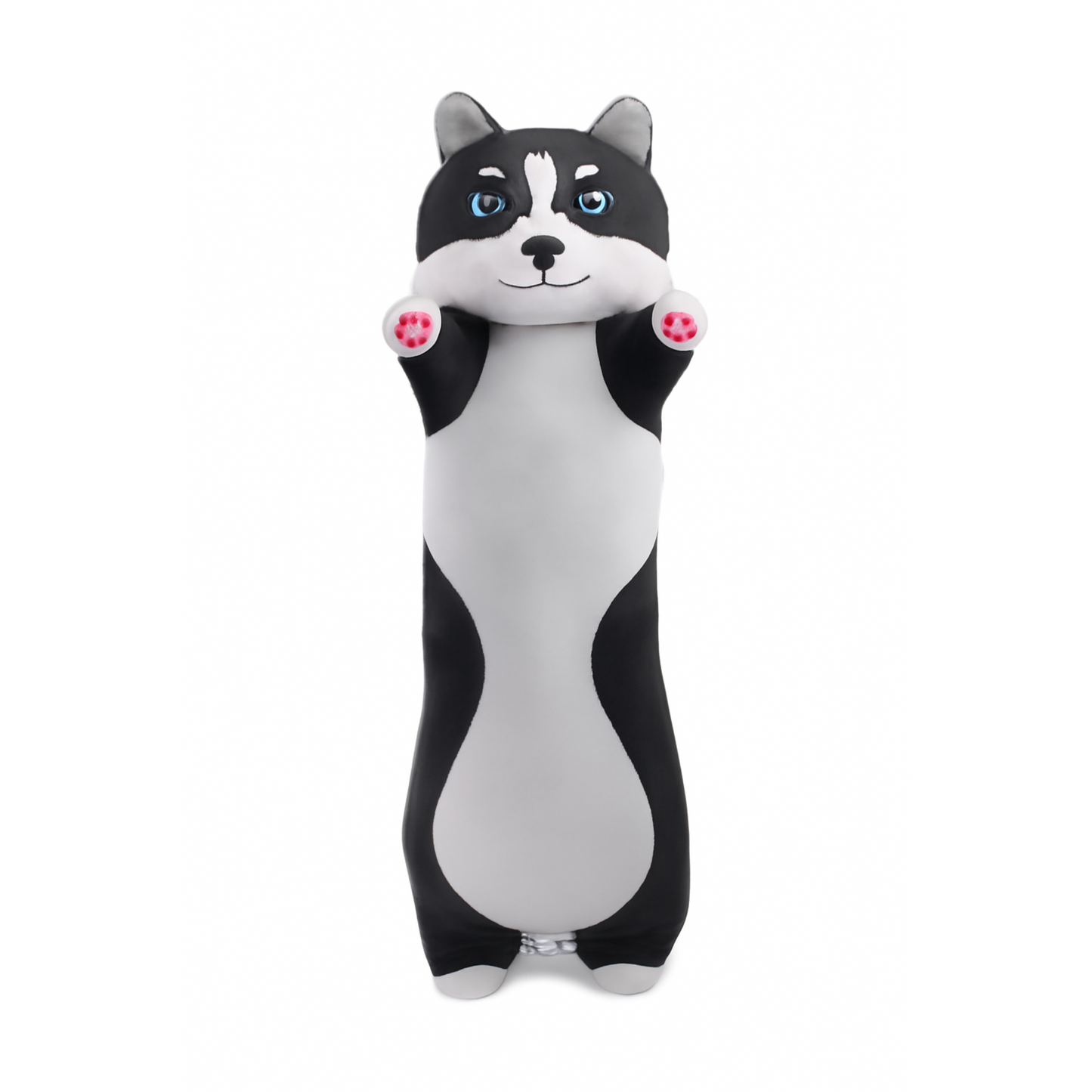 Nino Cat