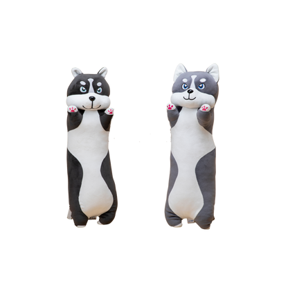 Nino Cat