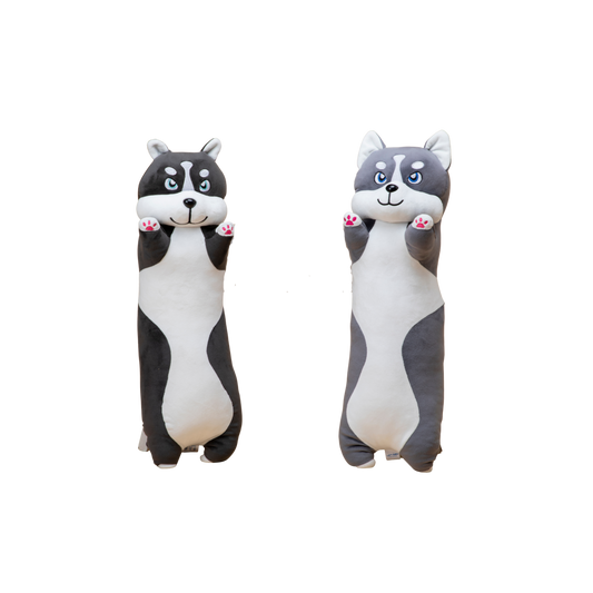 Nino Cat