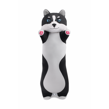 Nino Cat